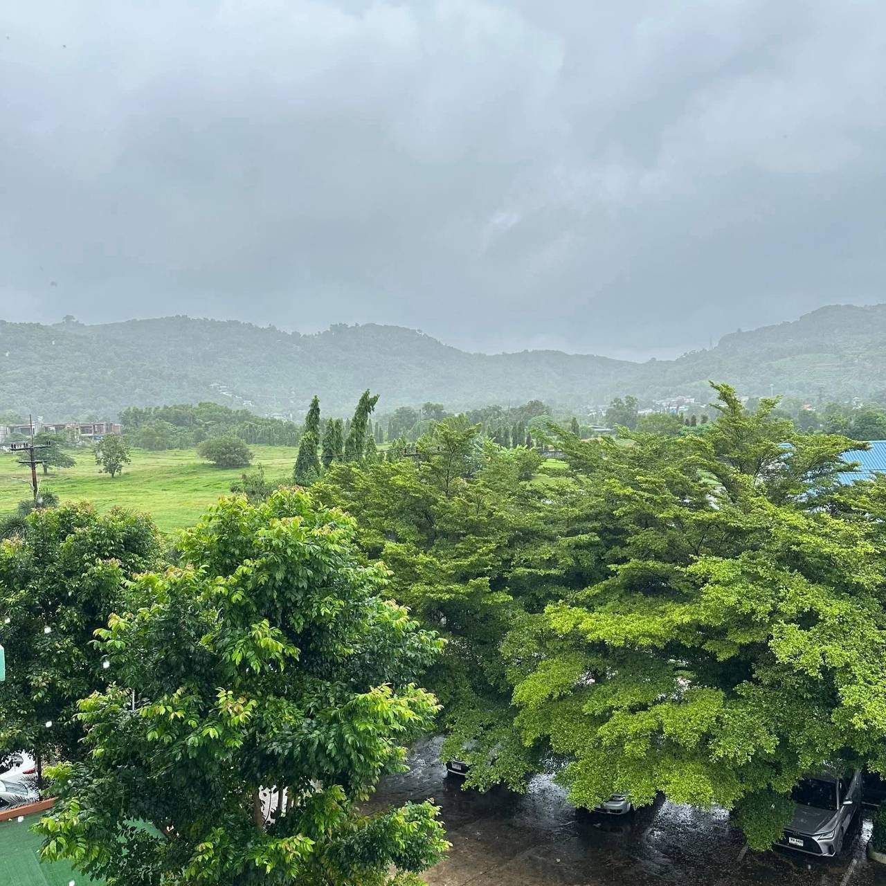 For Sales : Chalong, Newly renovated condo, 1 bedroom 1 bathroom, 4th flr.