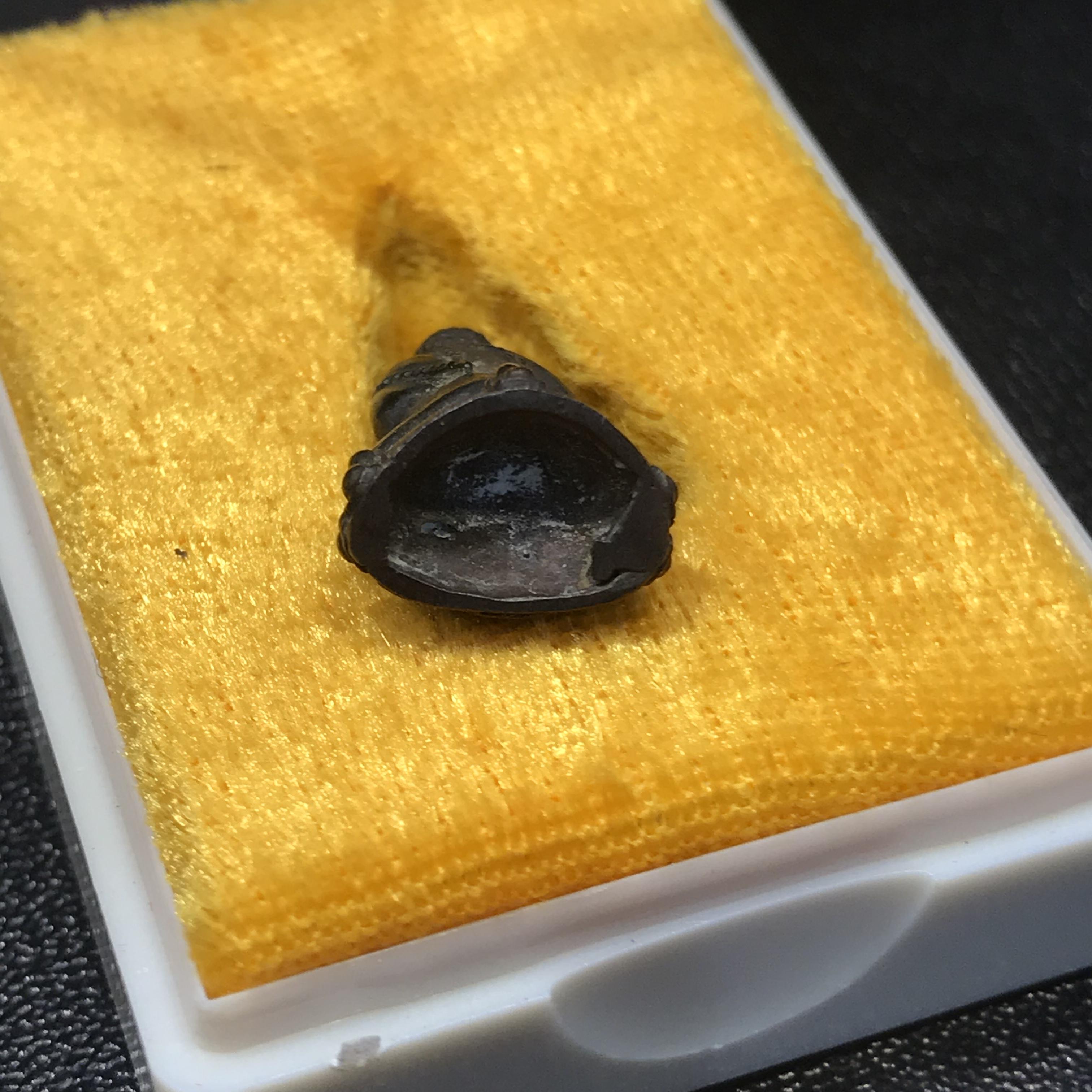 พระชัยวัฒน์นวปทุม ภปร. วัดปทุมวนาราม ปี2535 เนื้อเงิน+เนื้อนวโลหะ(ในหลวงรัชกาลที่9เสด็จเททอง)(สภาพสวยเดิมครบสมบูรณ์)