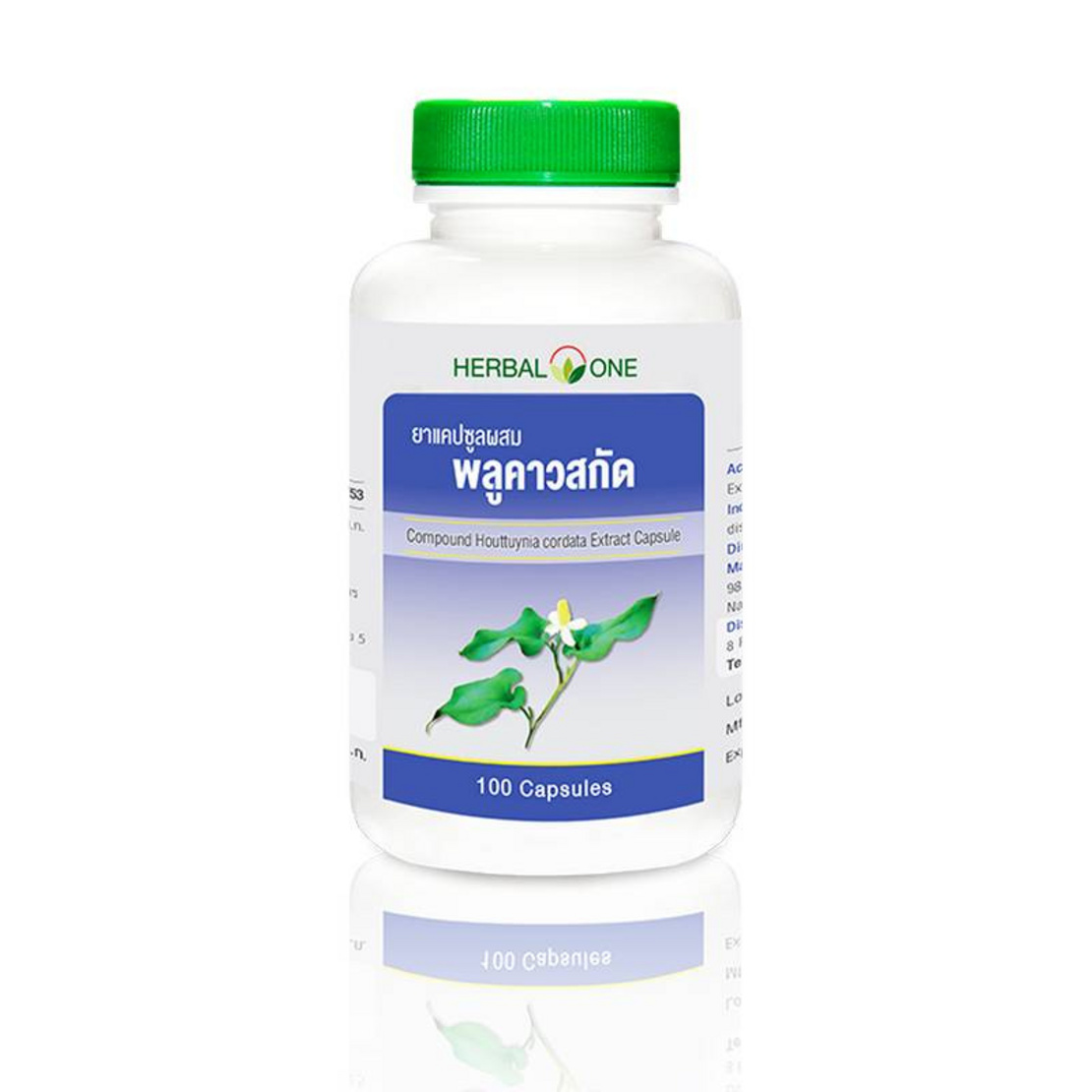 พลูคาวสกัด, Houttuynia Extract
