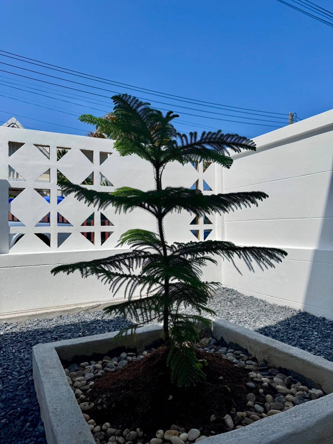 For Sale : Pakhlok, Twin House @Baan Promphun, 3 bedrooms 2 bathrooms