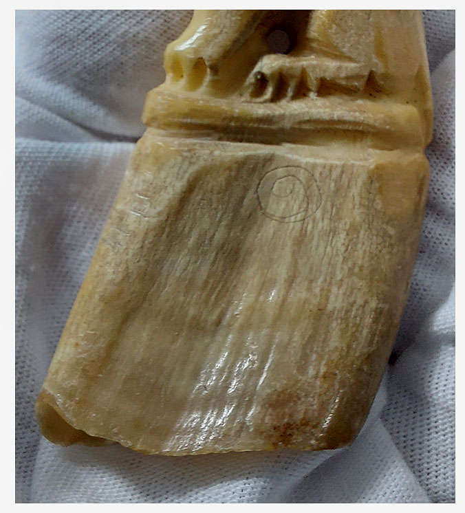 เขี้ยวหมูป่าแกะเสือ--T2580-B