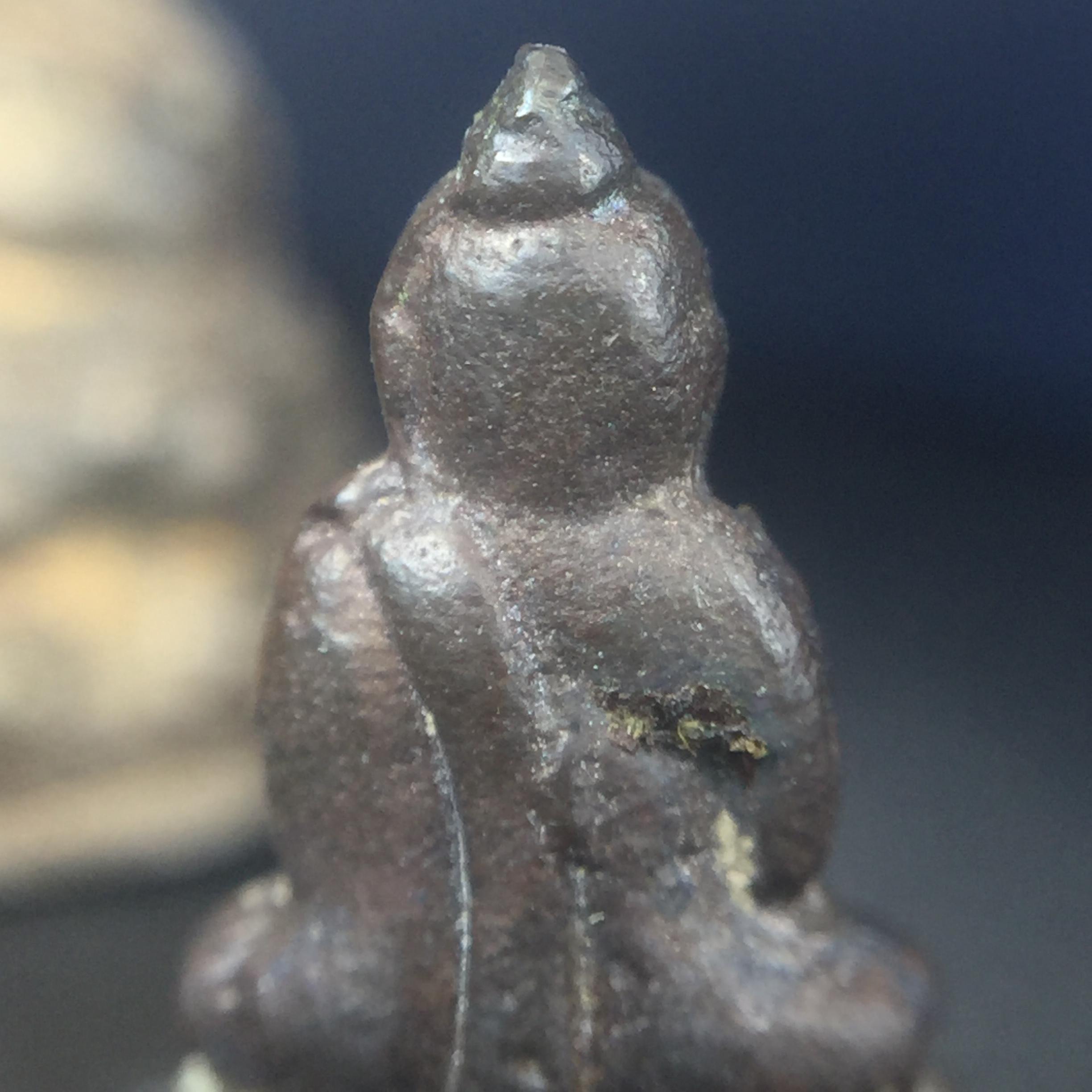 พระกริ่ง-พระชัยวัฒน์ "บูชาพระคุณ" 90 พรรษา 3 ตุลาคม 2546 สมเด็จพระญาณสังวร สมเด็จพระสังฆราชฯ วัดบวรนิเวศวิหาร(ตอกโค๊ดพร้อมหมายเลข ๗๙)(ที่สุดแห่งกริ่งที่มีขั้นตอนกระบวนการจัดสร้างตามโบราณประเพณีและมวลสารบรรจุในองค์พระกริ่งแห่งยุค)หายากมาก!!!!