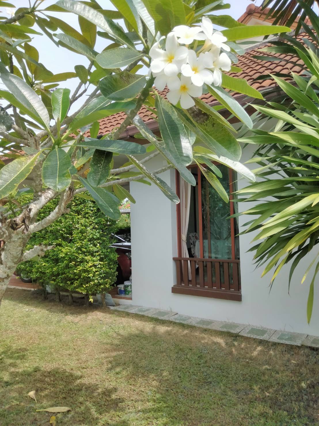 For Sales : Thalang, Single-story detached house, 3 bedrooms 2 bathrooms