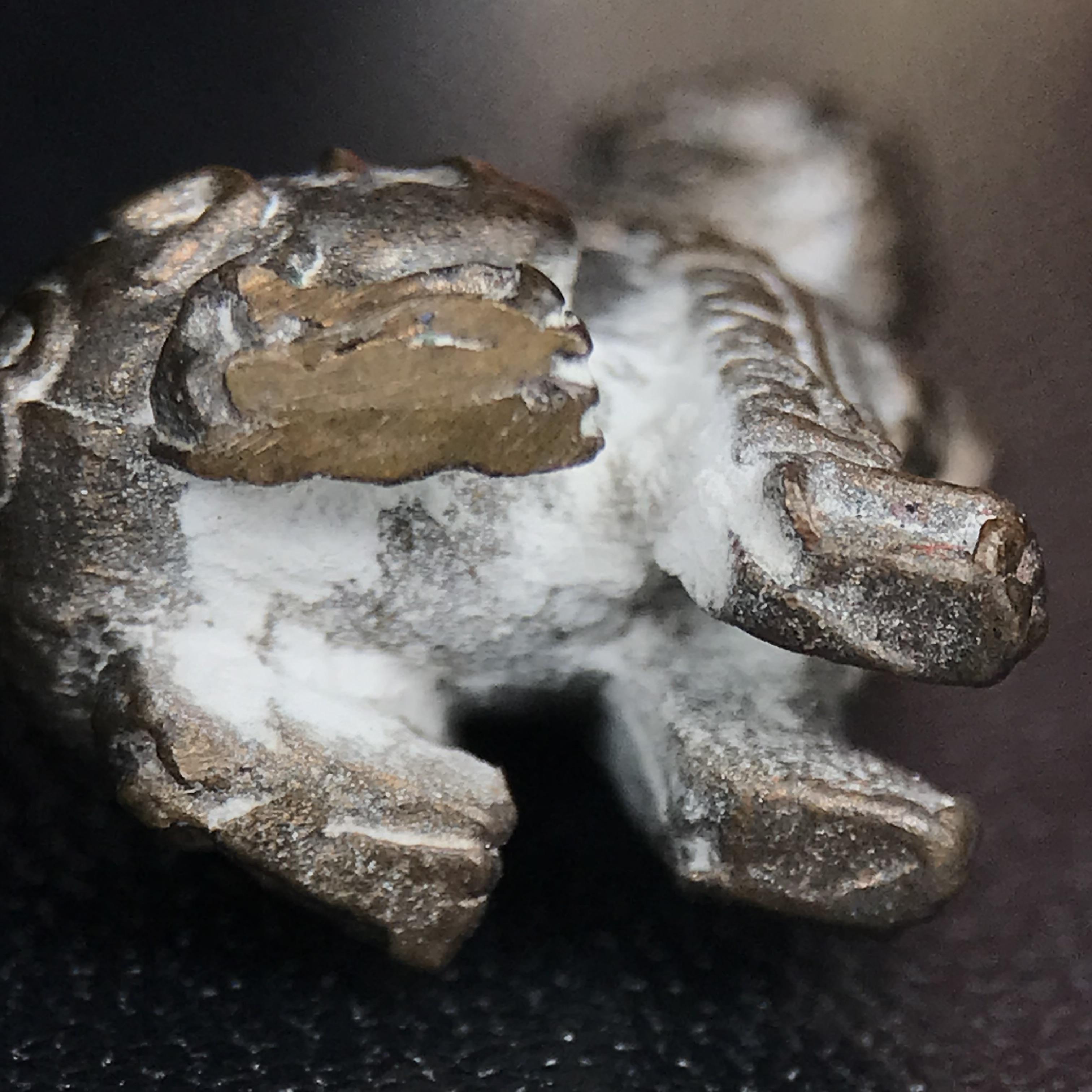 สิงห์เจ้าพ่อดำ วัดบุพพาราม จ.เชียงใหม่ ปี 2518 เนื้อนวโลหะ(ตอก 2 โค๊ต)หายาก(สภาพผิวเดิมสวยเดิมกล่องครบ) สิงห์รุ่นนี้มีพิธีดีมีเกจิอาจารย์ที่ร่วมปลุกเสกมากมาย****เครื่องราง ที่พระบาทสมเด็จพระเจ้าอยุ่รัชกาลที่ ๙ ทรงเสด็จฯประกอบพิธีด้วยพระองค์เอง