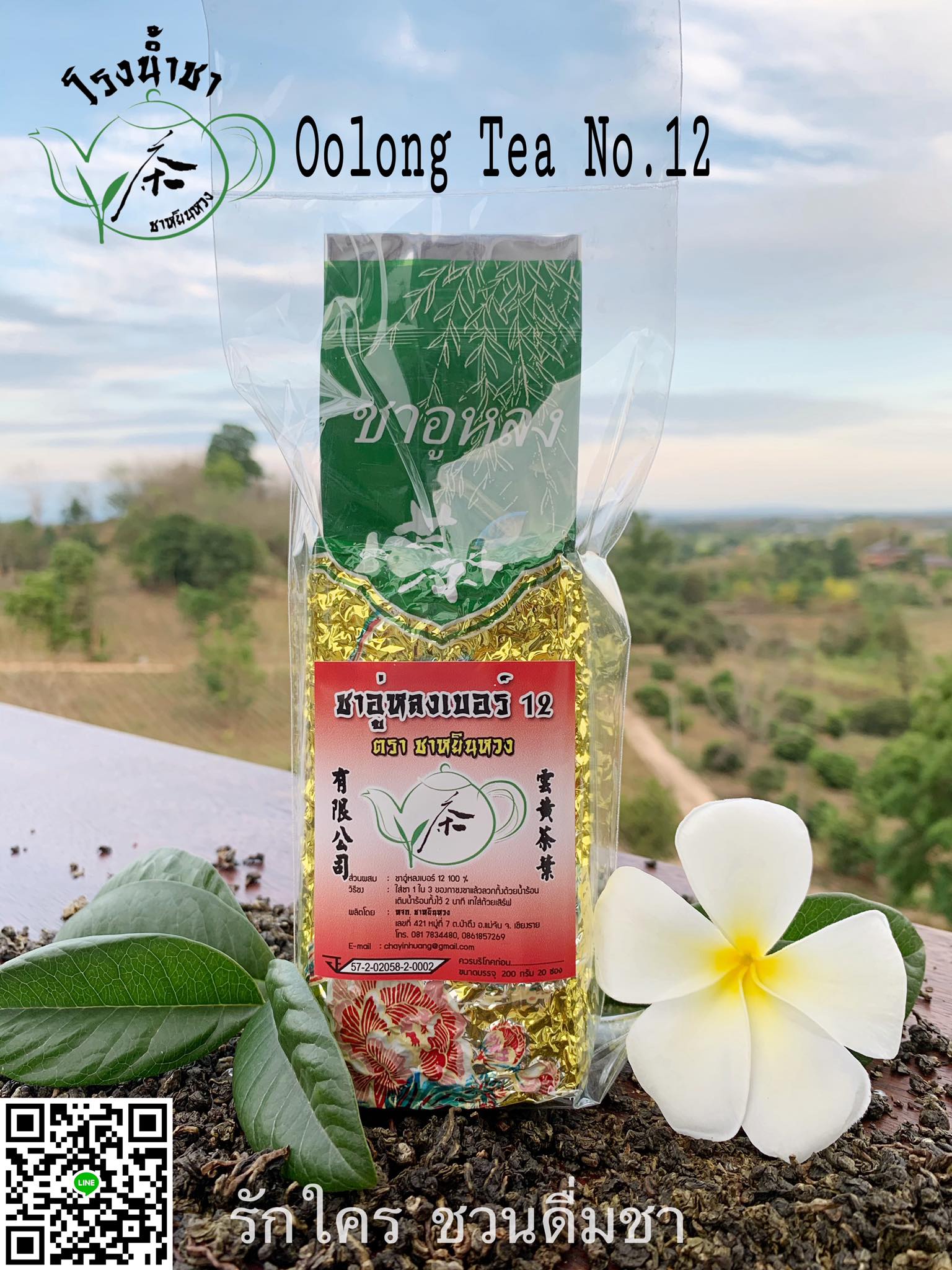 ชาอู่หลงเบอร์ 12 (Oolong No.12)
