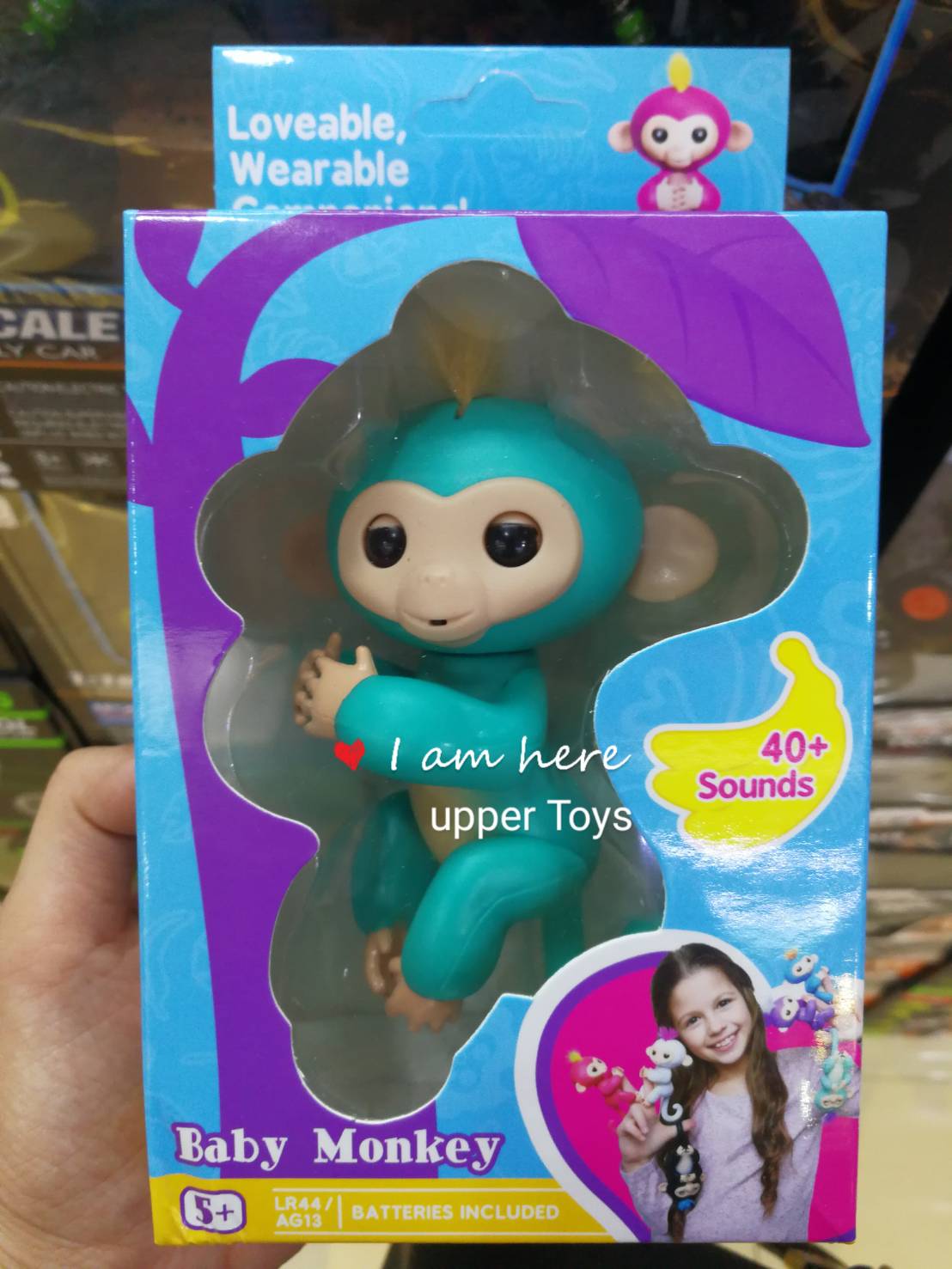 ลิงเกาะนิ้ว Fingerlings Baby Monkeys เกรด AA