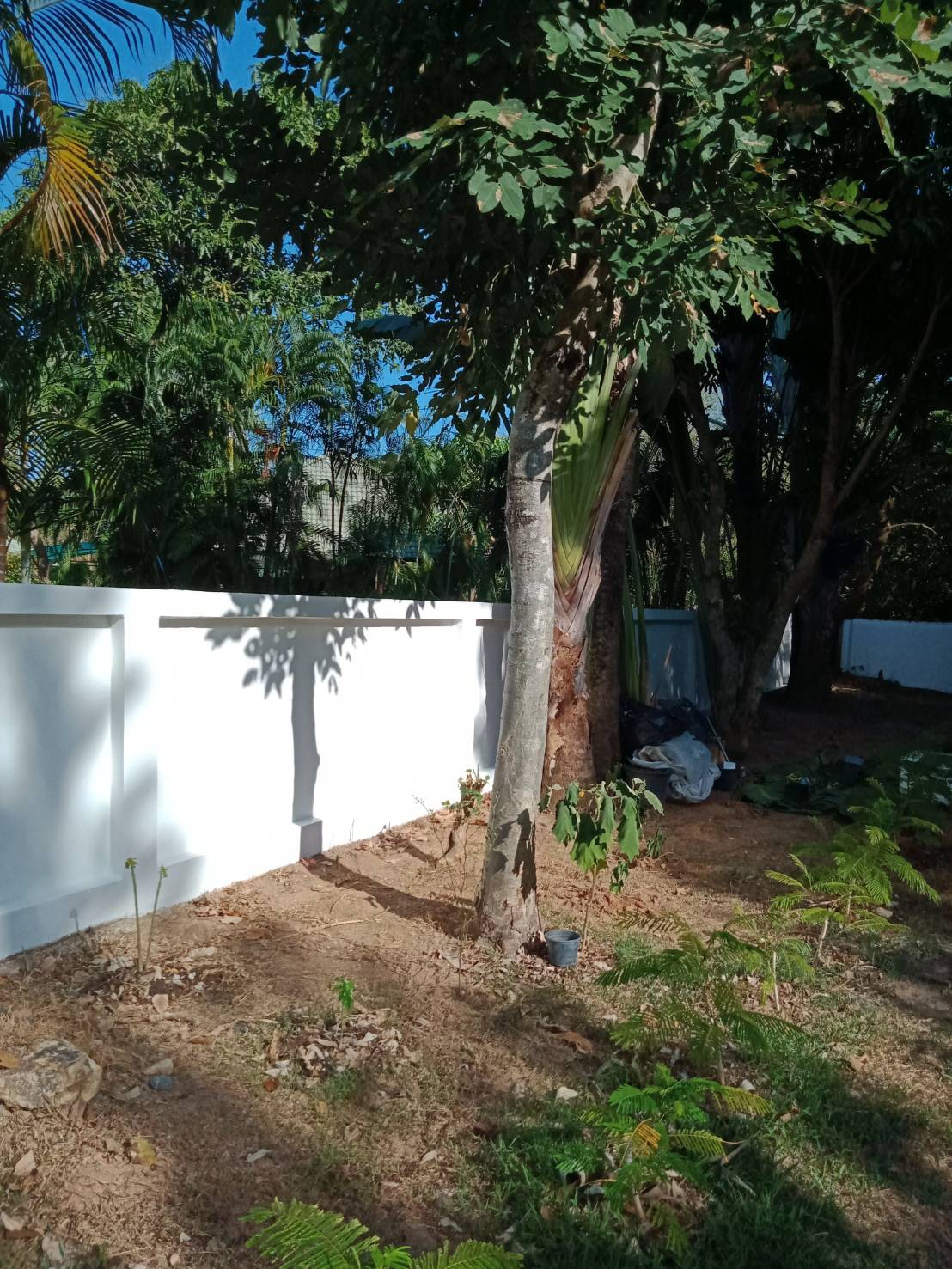 For Sales : Land Rawai, Soi Namjai , 64 SQ.W. , Garden View.