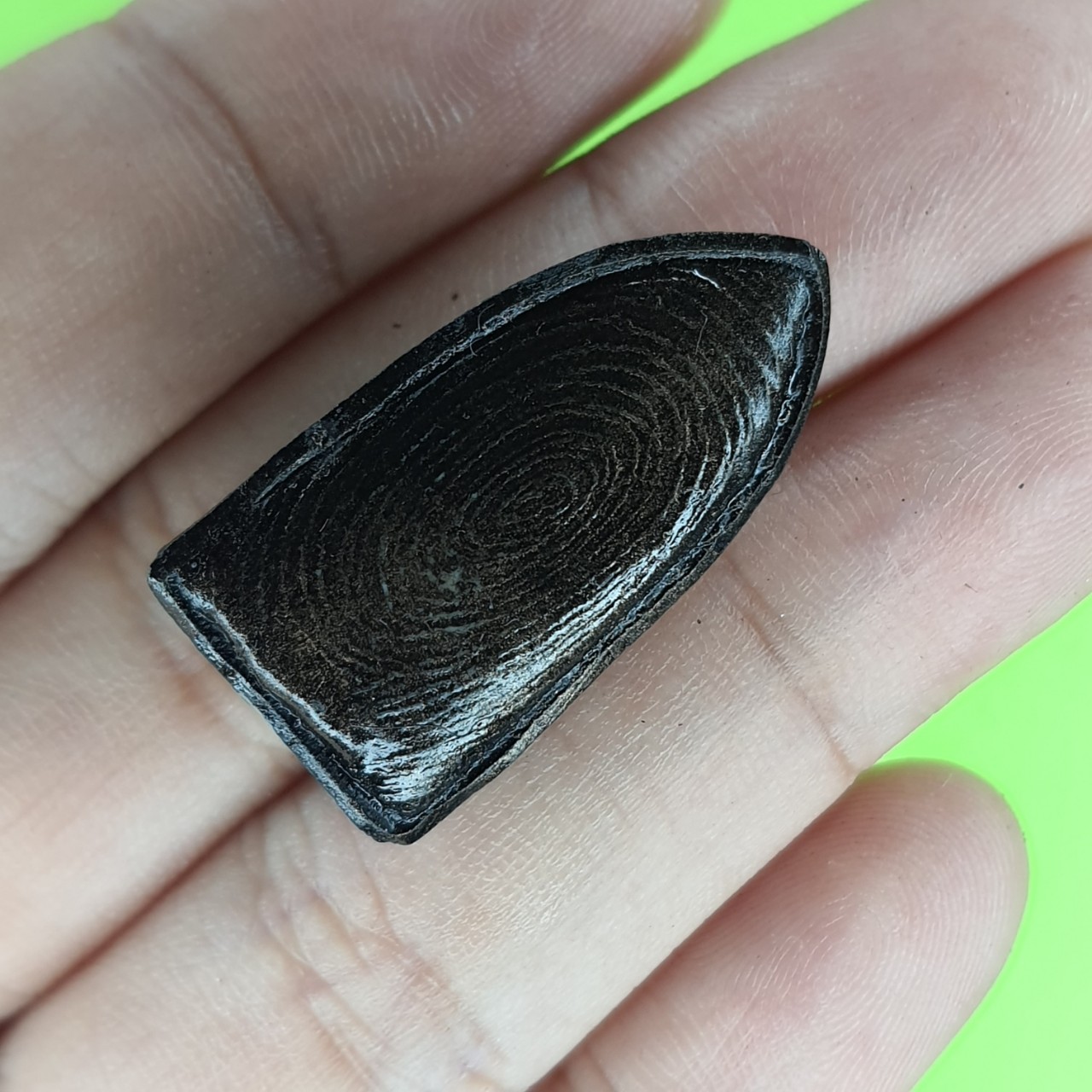 พระเครื่อง พระรอด รุ่น เมตตา คงกระพัน รวยทรัพย์ สีดำทำเก่า พระรอดแท้ พระเครื่องพระรอด พระรอดพิมพ์เล็ก พระรอดเนื้อผง พระรอดลำพูน พระแท้ จี้พระรอด พระรอดห้อยคอ