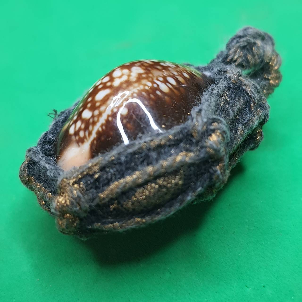 ของป้องกัน เบี้ยแก้แบบถักเชือกธรรมดา หลังตะกรุด เบี้ยแก้ของแท้ เบี้ยแก้คุณไสย ของแท้ เบี้ยแก้ปลุกเสก