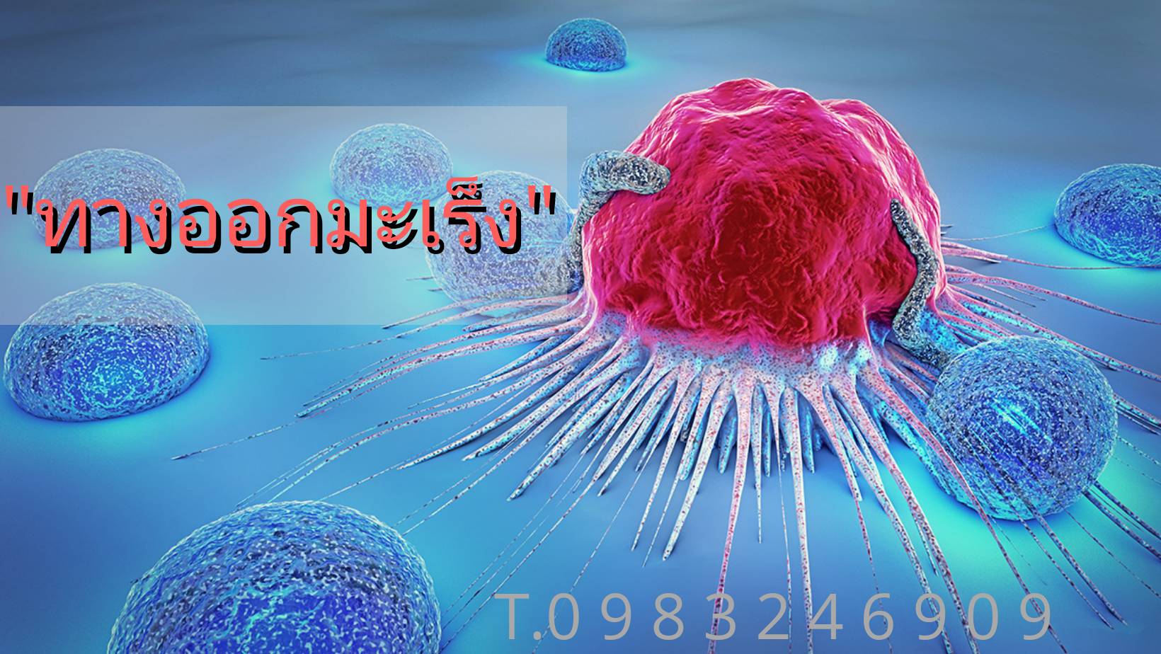  ทางรอดมะเร็งทุกชนิด ทุกระยะ