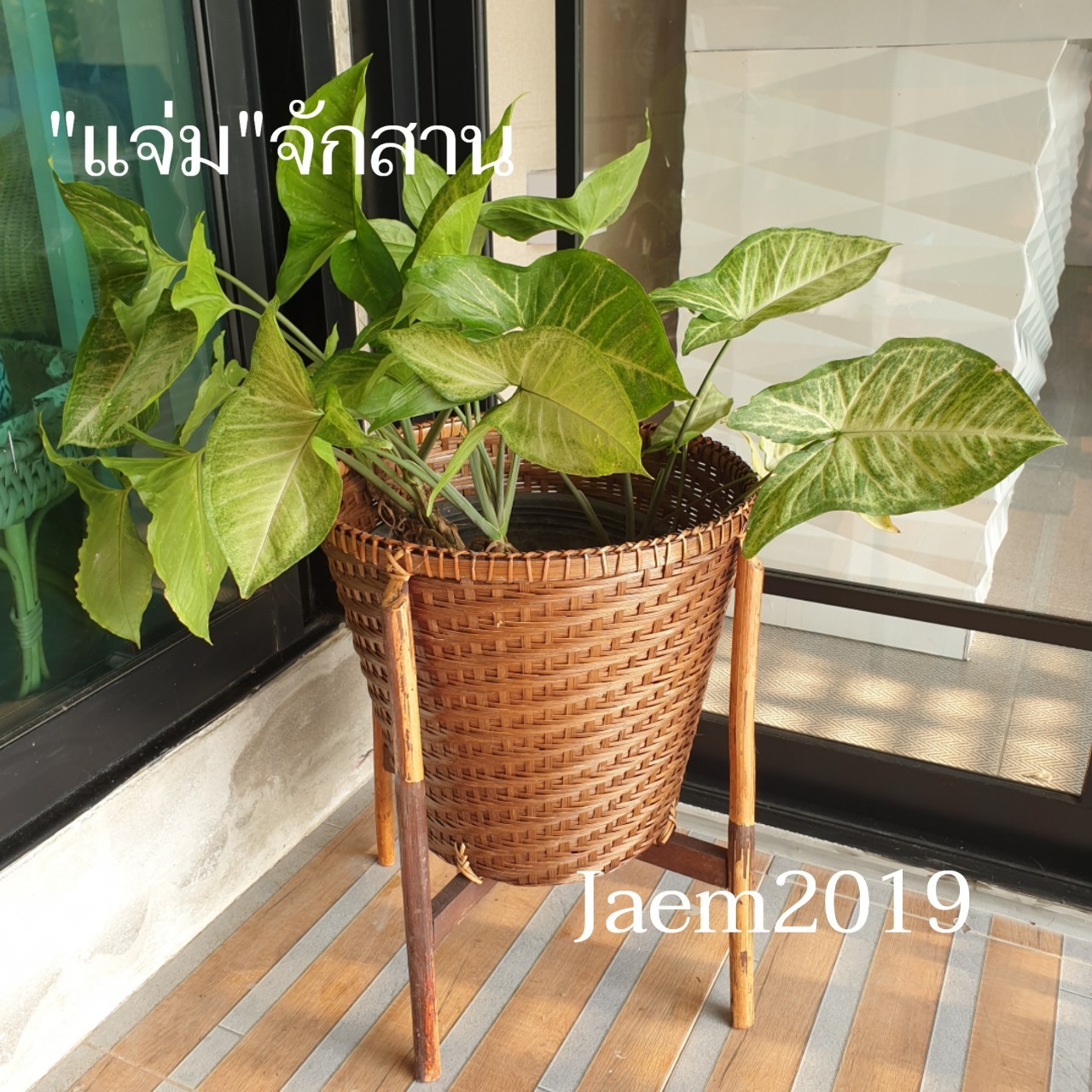 ตะกร้าไม้ไผ่ มีขาตั้ง แจ่มจักสาน