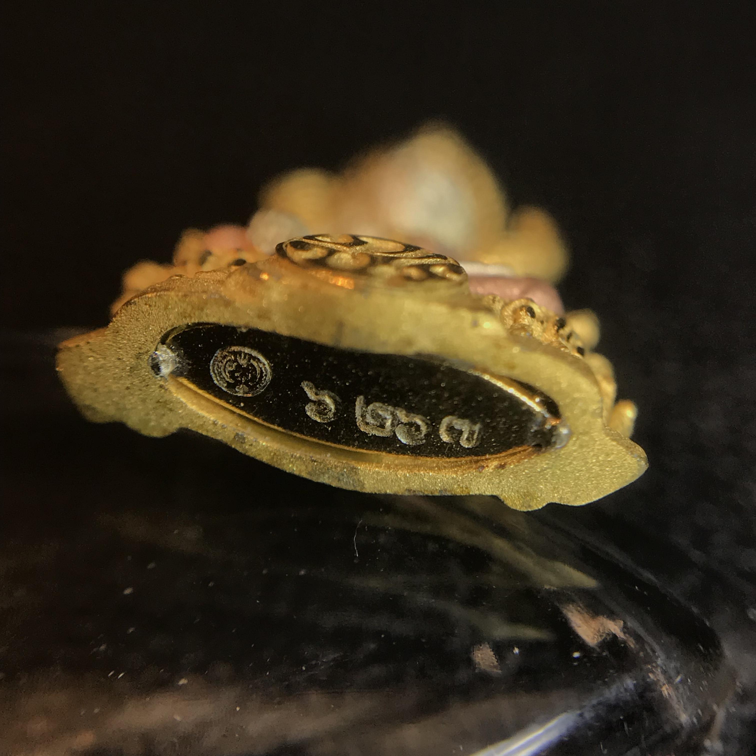 พระพุทธชินราช ภปร. โครงการ "เพราะแผ่นดินนี้ คือ แผ่นดินเกิด" ปี2548(รุ่นแรก) ลอยองค์ หน้าตัก 1/4 นิ้ว เนื้อเงินสามกษัตริย์