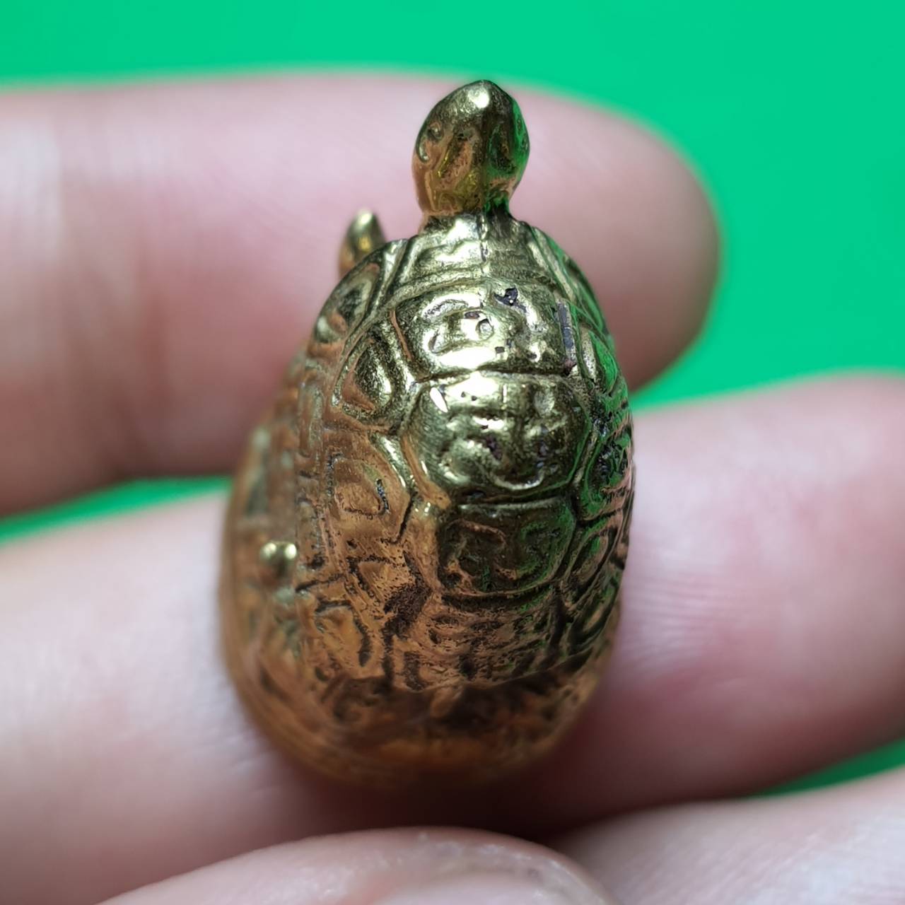 ของนำโชค เต่าเรือนเบญจภาคี ค้าขาย โชคลาภ ร่ำรวย เต่าเรือน พญาเต่าเรือน ทองเหลือง พญาเต่าเรือน