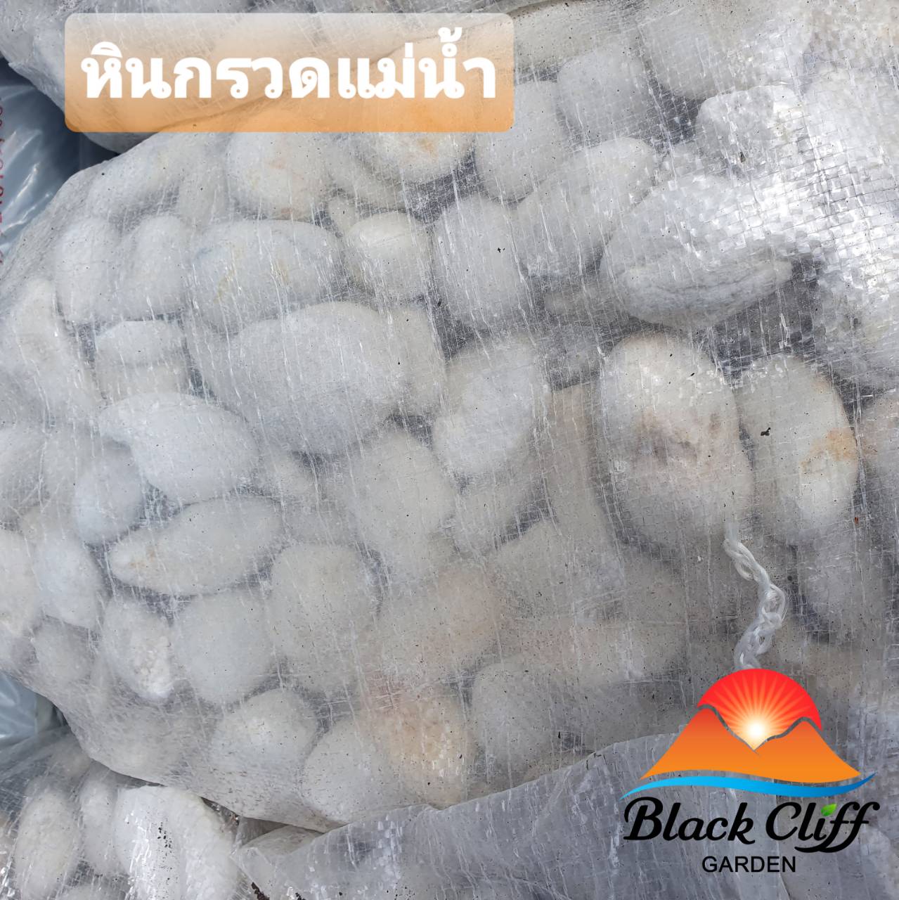 หินแม่น้ำขนาดกลาง เพื่อตกแต่งสวนให้สวยงาม หินสีขาวนวล ขนาดสวยงาม