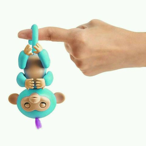 ลิงเกาะนิ้ว Fingerlings Baby Monkeys เกรด AA