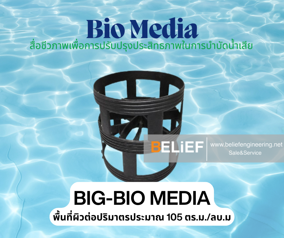 BIG-BIO MEDIA