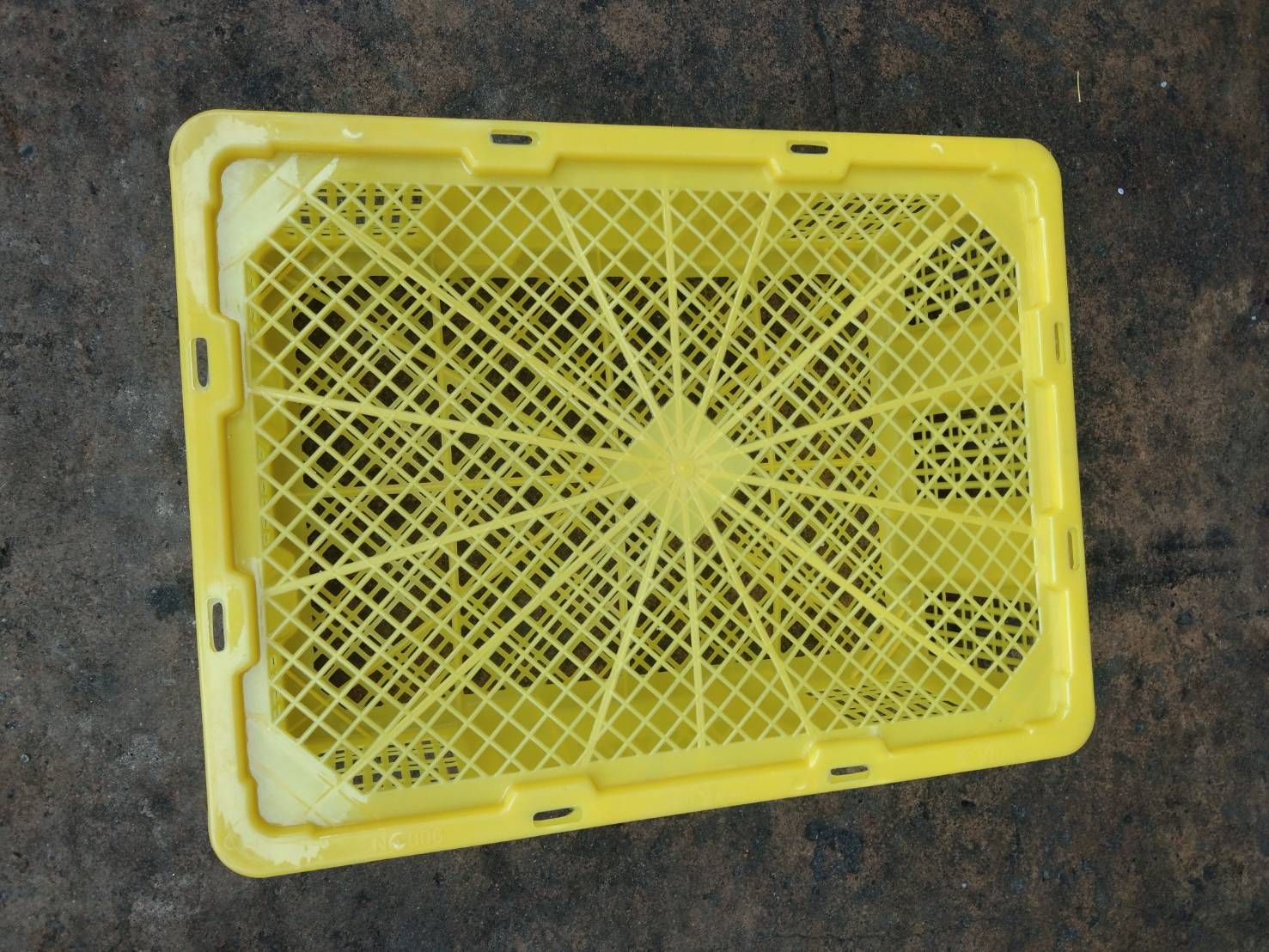 ตะกร้ามังคุด 006R