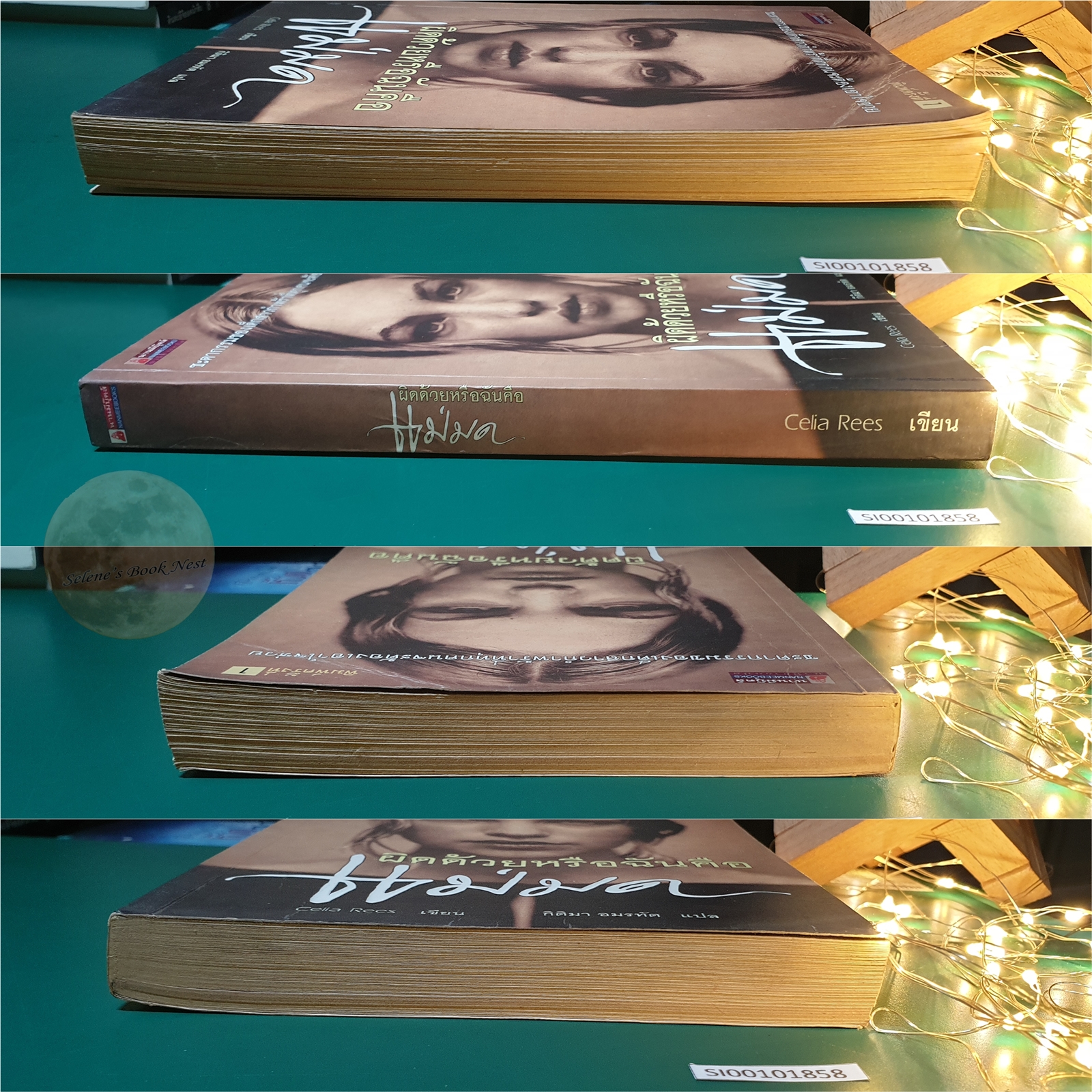 ผิดด้วยหรือฉันคือแม่มด (Witch Child) / Celia Rees