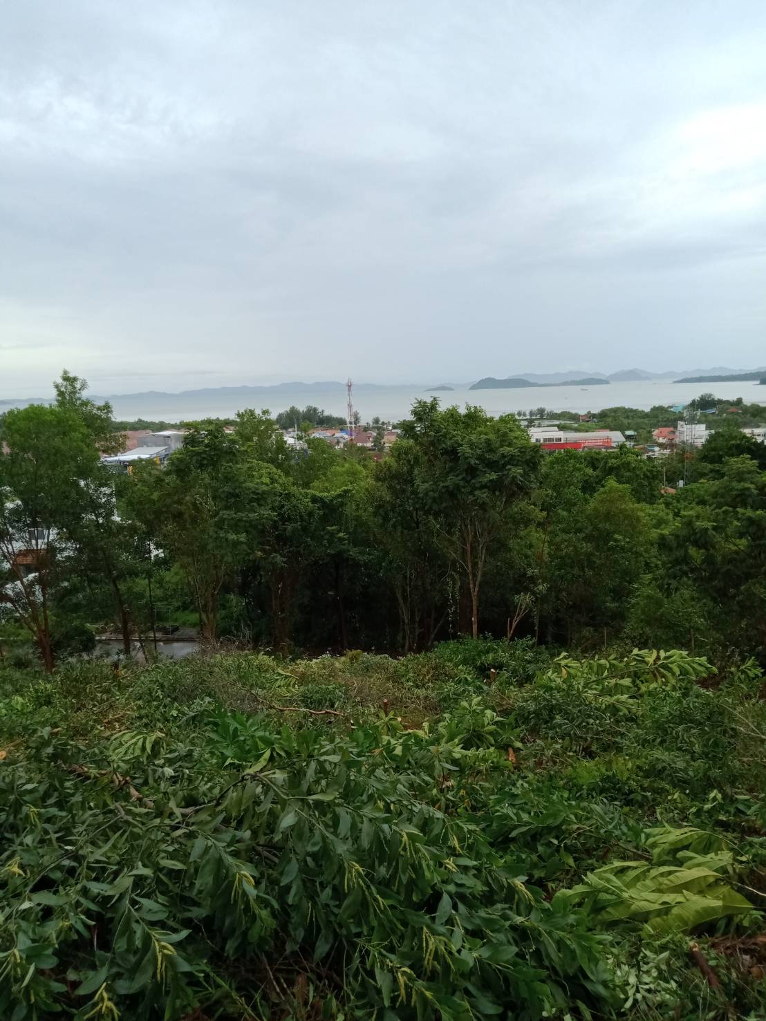 For Sales : Land Kathu, Near Phumontra , 323 Sq.w.