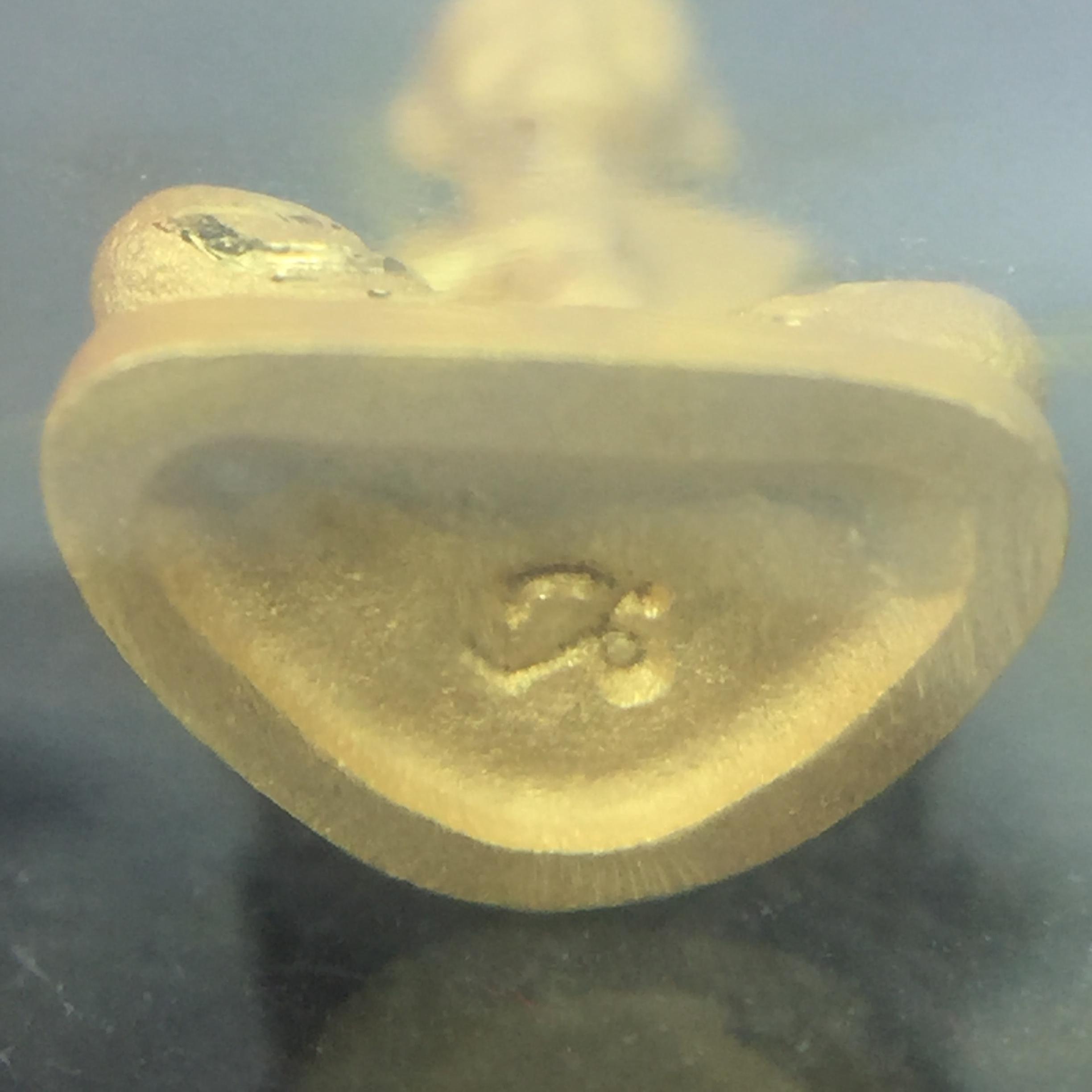 สมเด็จพระพุฒาจารย์โต พรหมรังสี(สมเด็จโต) รุ่นอุดมโชคโภคทรัพย์ ปี 2550 เนื้อทองคำ(สภาพ สวย ซีนซองเดิม กล่องบรรจุเดิมครบสมบูรณ์)