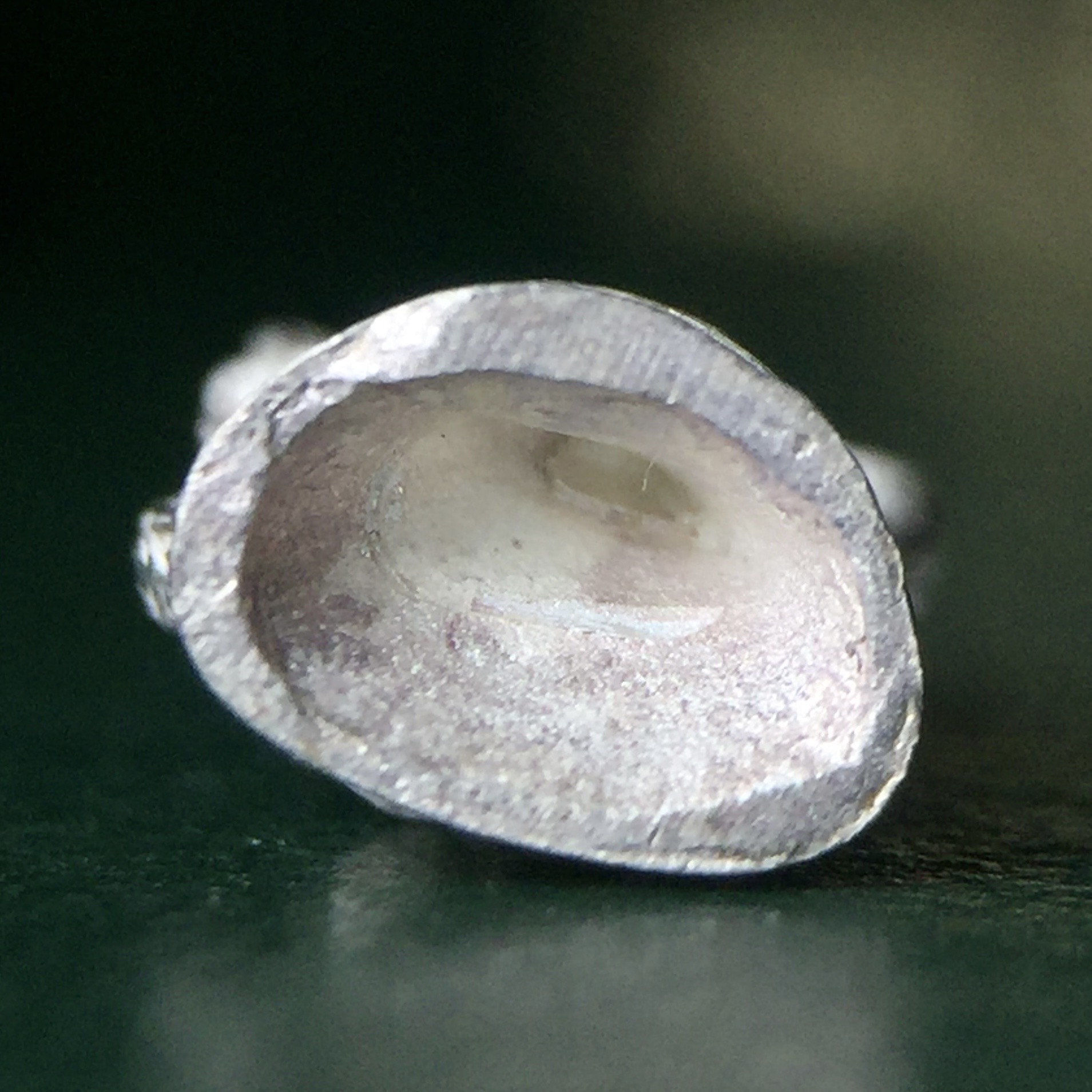 พระพิฆเนศ เทวสถานโบสถ์พราหมณ์ ปี 2539 รูปหล่อลอยองค์เนื้อเงิน 99.9% (พ่นทรายขัดเงาบางส่วน) พิมพ์เล็ก(ขนาดประมาณ 1.3 * 0.8 ซม.) พร้อมกล่องบรรจุเดิมครบ ผลิตโดย บ.แพรนด้า จิวเวลรี่(สภาพสวยเดิม พิธีใหญ่ พุทธศิลป์งดงาม)