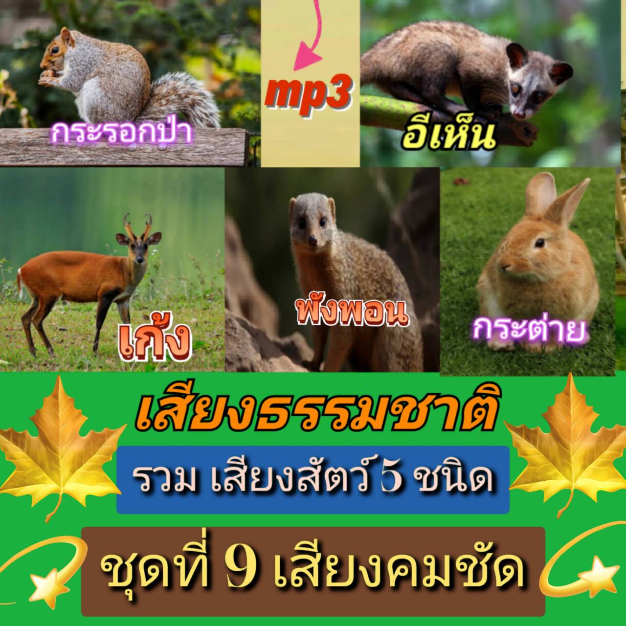 [พรเทวะ] แฟลชไดร์ฟ Mp3 เสียงธรรมชาติ รวมเสียงสัตว์ 5 ชนิด ชุดที่ 9 เสียงคมชัด ความยาวเสียงละ 1-2 ชั่วโมง 1 เสียงกระรอกป่า 2 เสียงอีเห็น 3 เสียงเก้ง 4 เสียงพังพอน 5 เสียงกระต่าย ใช้กับเครื่องเล่น USB/mp3 ทุกชนิดหรือเปิดฟังในรถยนต์เปิดในคอมพิวเตอร์ได้ *** ส