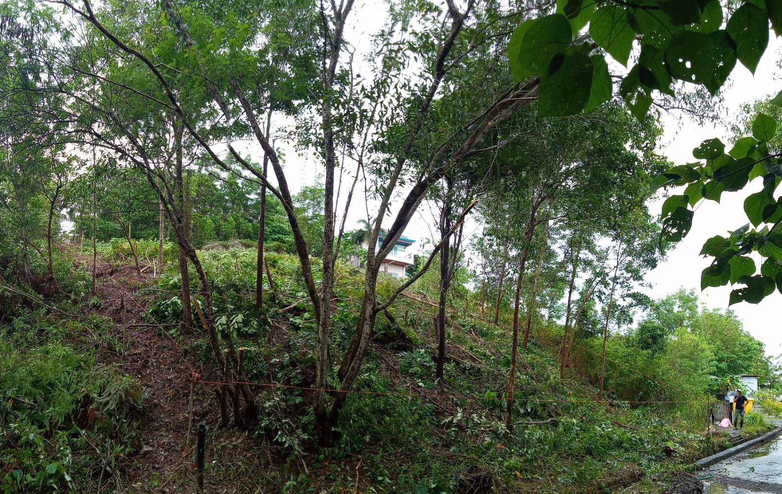 For Sales : Land Kathu, Near Phumontra , 323 Sq.w.