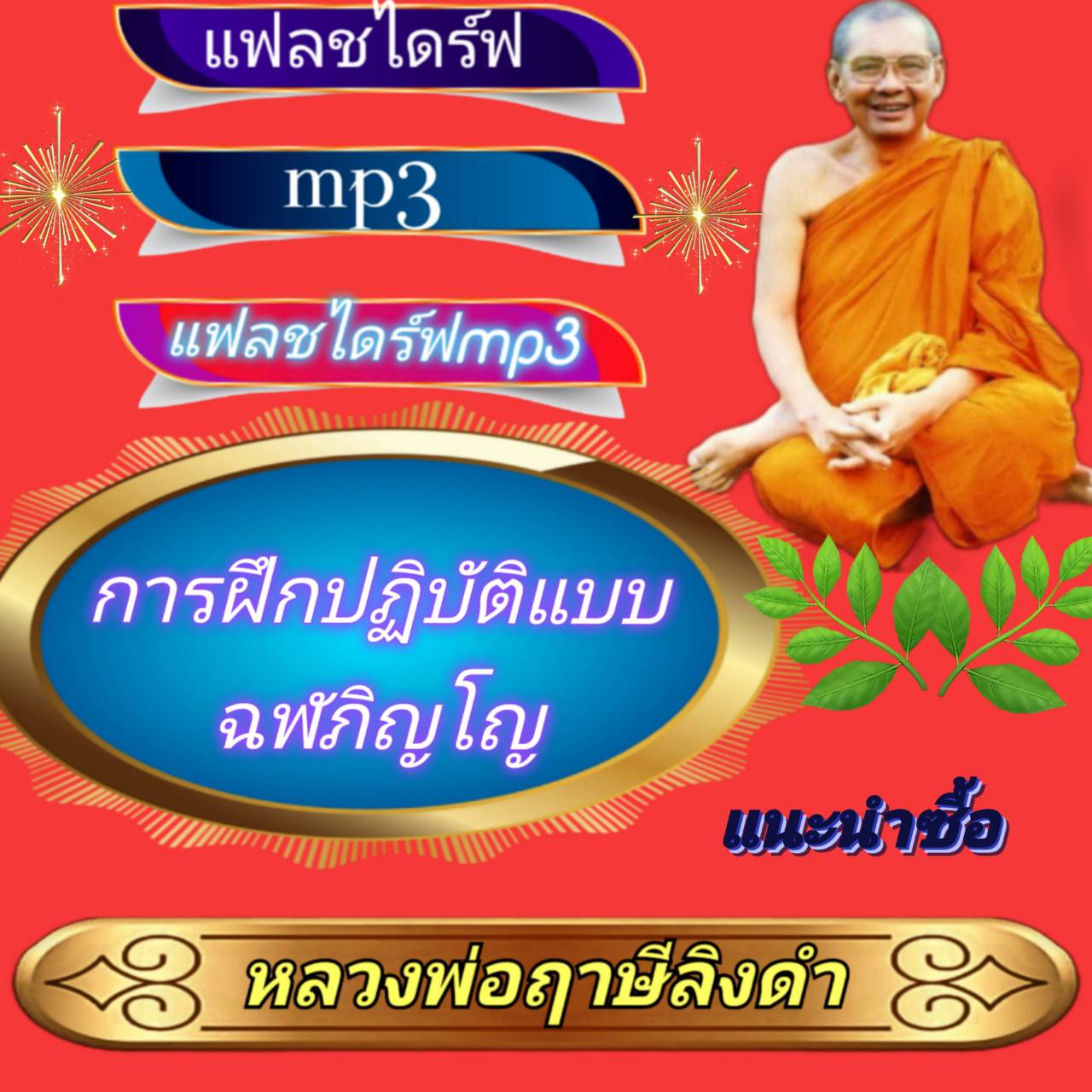 [พรเทวะ] แฟลชไดร์ฟ การฝึกปฏิบัติแบบฉฬภิญโญ MP3 FLASH DRIVE โดย หลวงพ่อฤาษีลิงดำ เสียงหลวงพ่อ แฟลชไดร์ฟ พระราชพรหมยาน ธรรมะ ใช้กับเครื่องเล่น USB/mp3 ทุกชนิดหรือเปิดฟังในรถยนต์เปิดในคอมพิวเตอร์ได้