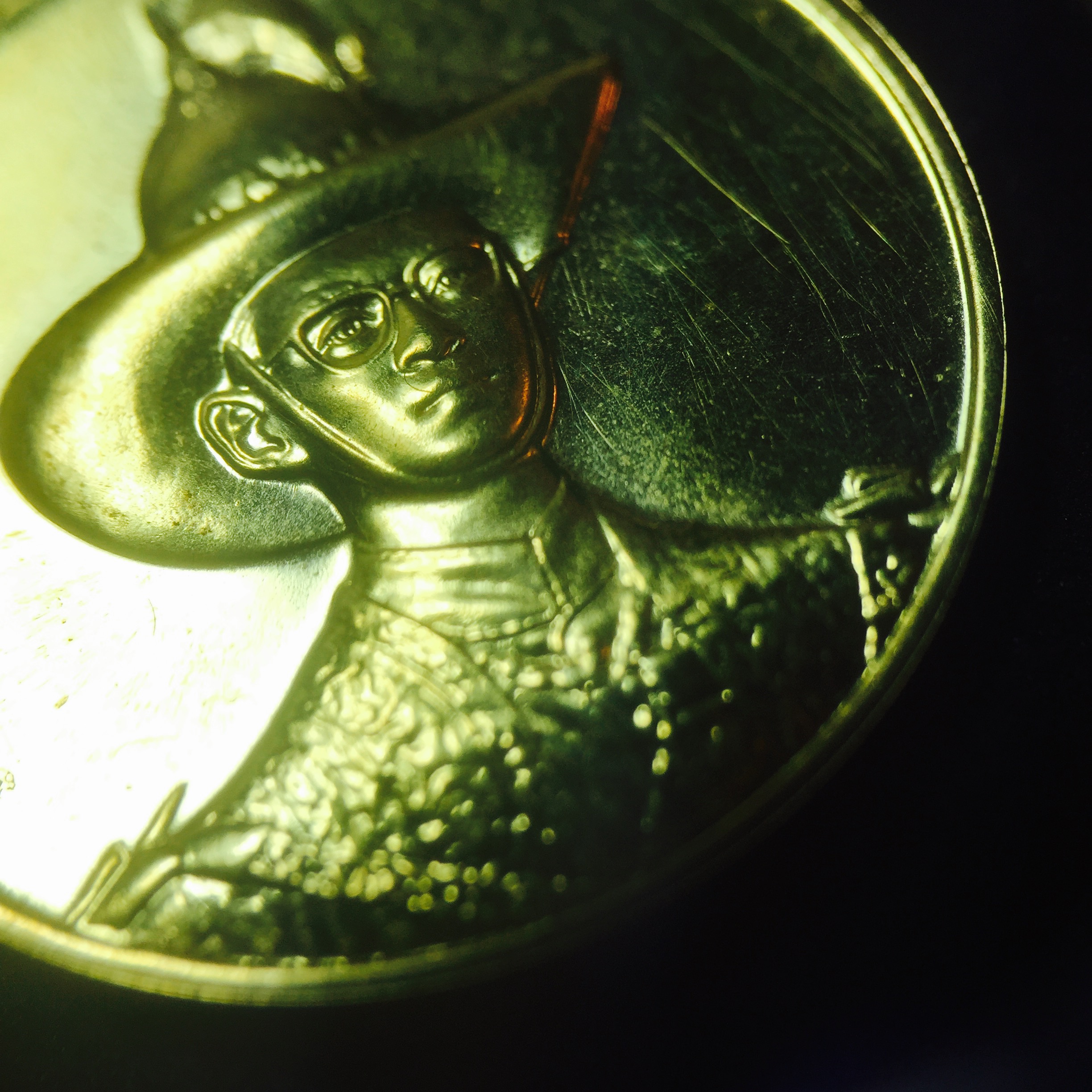 เหรียญ ร.9 มหามงคลเฉลิมพระชนมพรรษา 6 รอบ(ทองคำ)(หายาก)