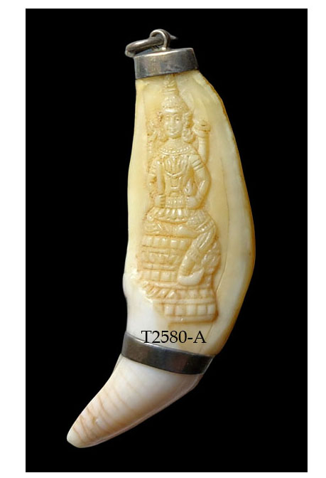 เขี้ยวหมี(เต็มเขี้ยว) แกะรูปพระอินทร์--BPT2580-A