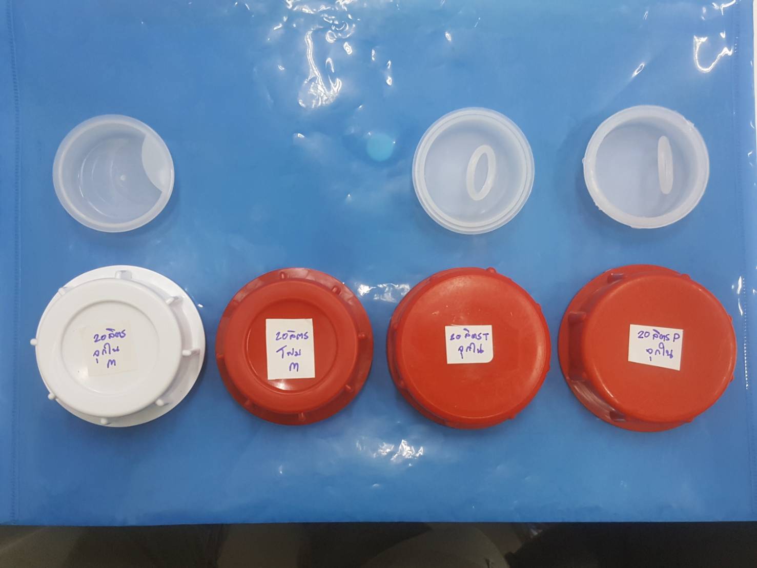 ฝาแกลลอน ฝานอก ฝาใน