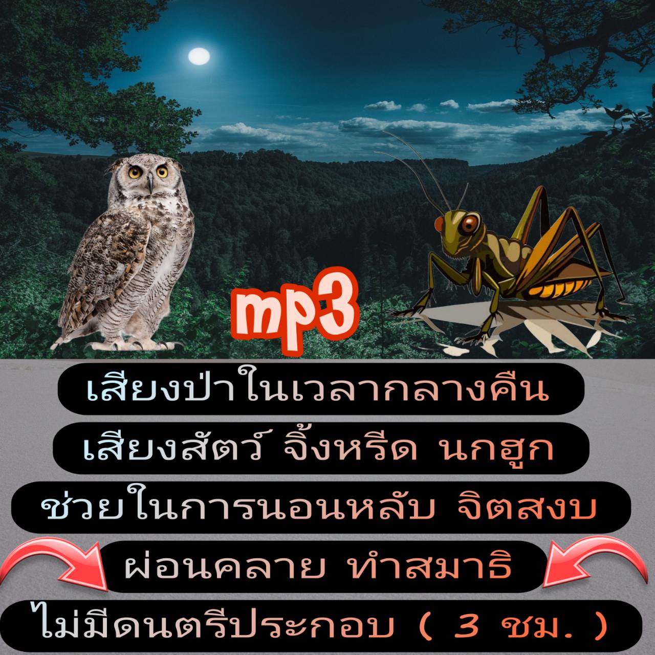[พรเทวะ] แฟลชไดร์ฟ USb Mp3 เสียงป่าในเวลากลางคืน เสียงสัตว์ จิ้งหรีด นกฮูก ช่วยในการนอนหลับ จิตสงบ ผ่อนคลาย ทำสมาธิ ไม่มีดนตรีประกอบ (3 ชม.) พิกัด https://www.lazada.co.th/products/i5751118869.html?spm=a1zawg.24863640.table_online_product.1.467c1e13St2tLG