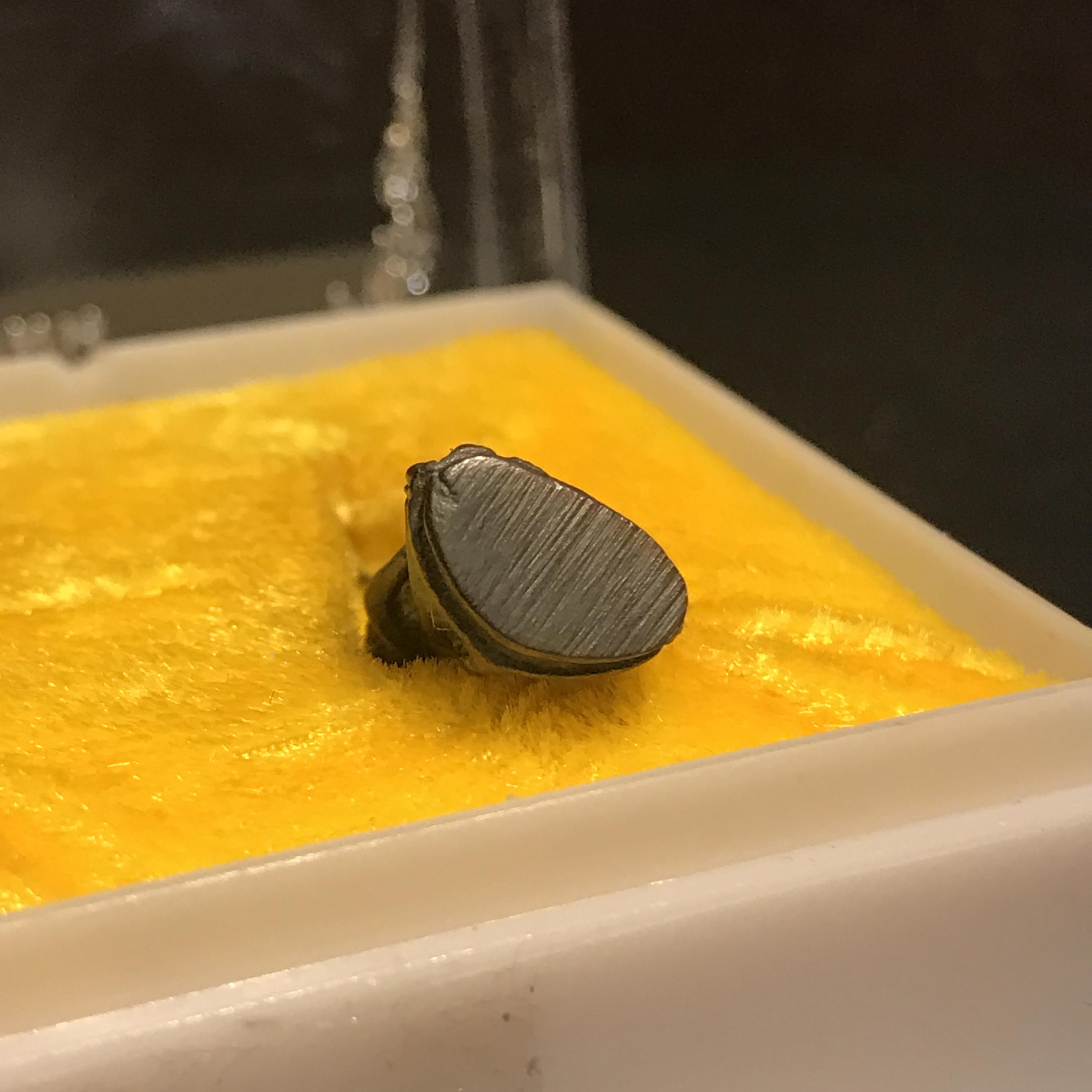 พระกริ่ง-พระชัยวัฒน์ รุ่นเมตตา ปี2529 วัดบวรนิเวศวิหาร เนื้อนวโลหะ(ในหลวงร.9เสด็จเททอง)(1ใน999ชุด)