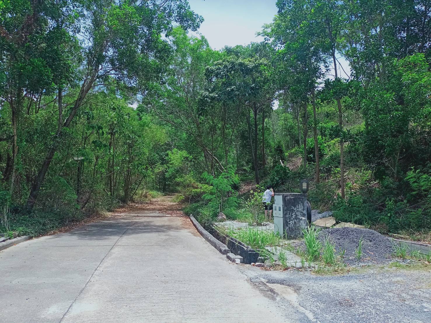 For Sales : Land Kathu, Near Phumontra , 323 Sq.w.