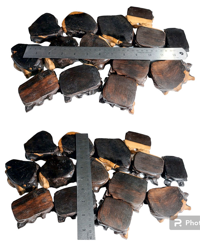 ฐานไม้มะเกลือแอฟริกันเล็กๆ--BPT931--