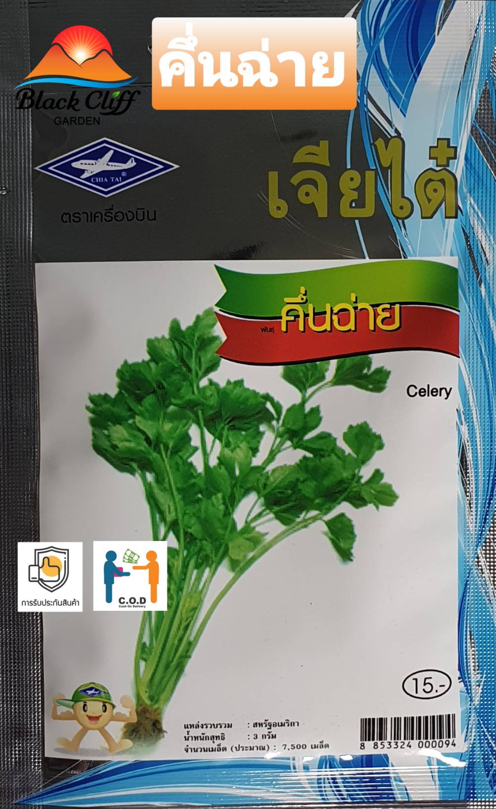 คึ่นฉ่าย celery เมล็ดพันธุ์พืช ผัก เมล็ดพันธุ์ผัก พืช ต้นไม้ ผักสวนครัว 7,500 เมล็ด อัตราการงอก 98% ปลูกผักทานเอง สำหรับคนรักสุขภาพ