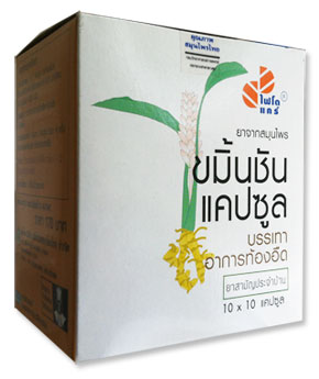 ขมิ้นชัน, GPO Turmeric