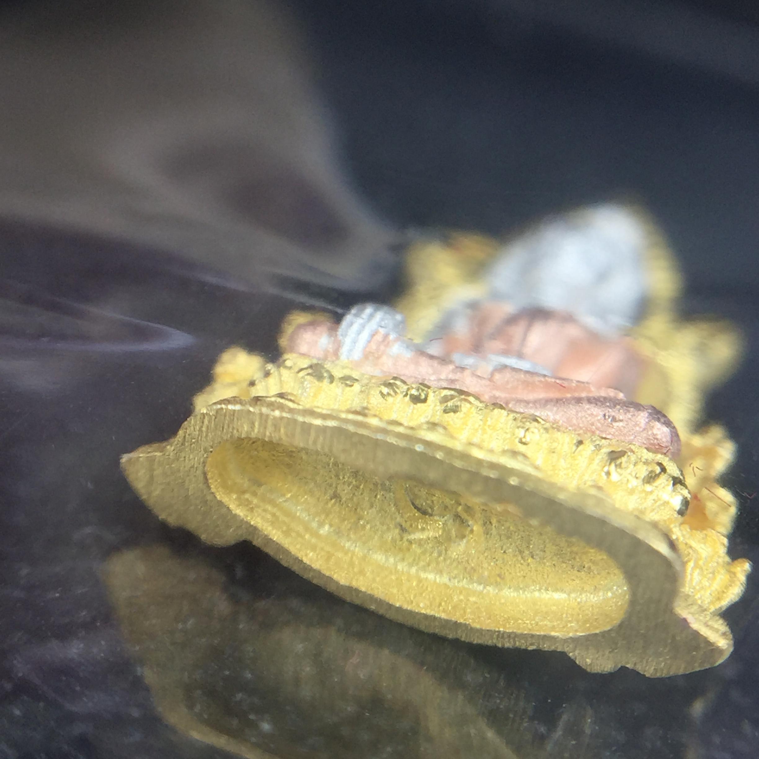 พระพุทธชินราช รุ่น ประวัติศาสตร์ มูลนิธิเพื่อตำรวจไทยจัดสร้าง ปี 2562 เนื้อเงินชุบสามกษัตริย์ขัดเงา พิมพ์ลอยองค์จิ๋ว