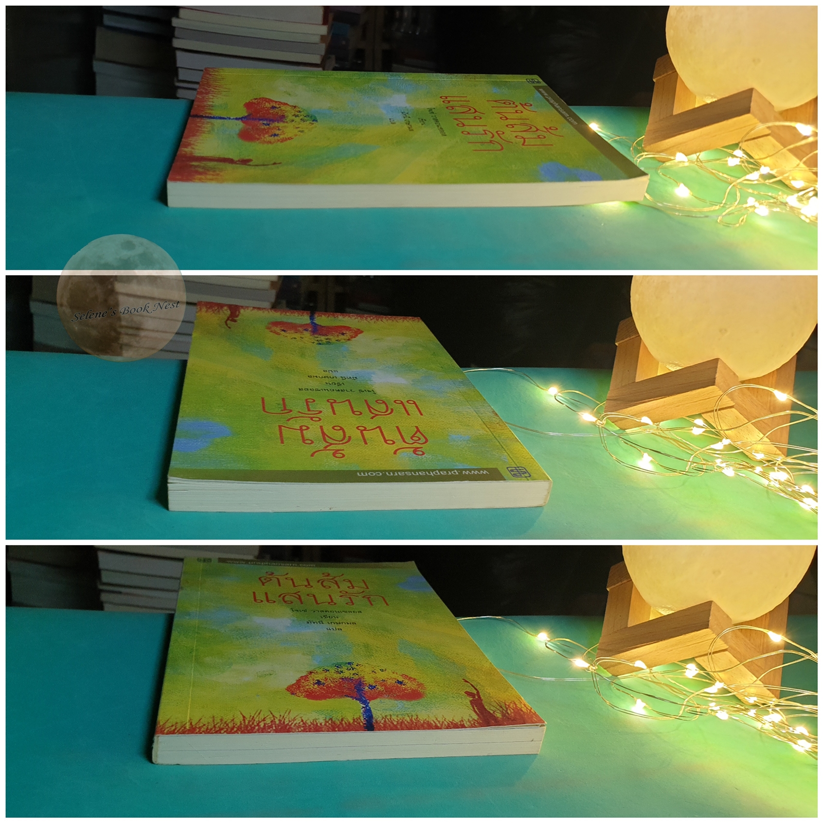 ต้นส้มแสนรัก เล่ม 1 / Jose Vasconcelos (โจเซ่ วาสคอนเซลอส)