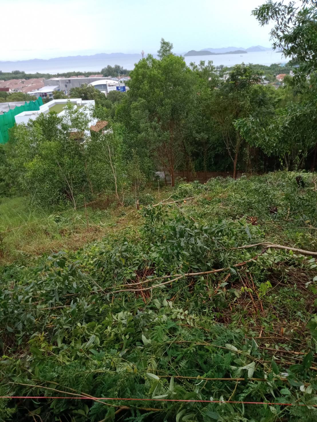 For Sales : Land Kathu, Near Phumontra , 323 Sq.w.