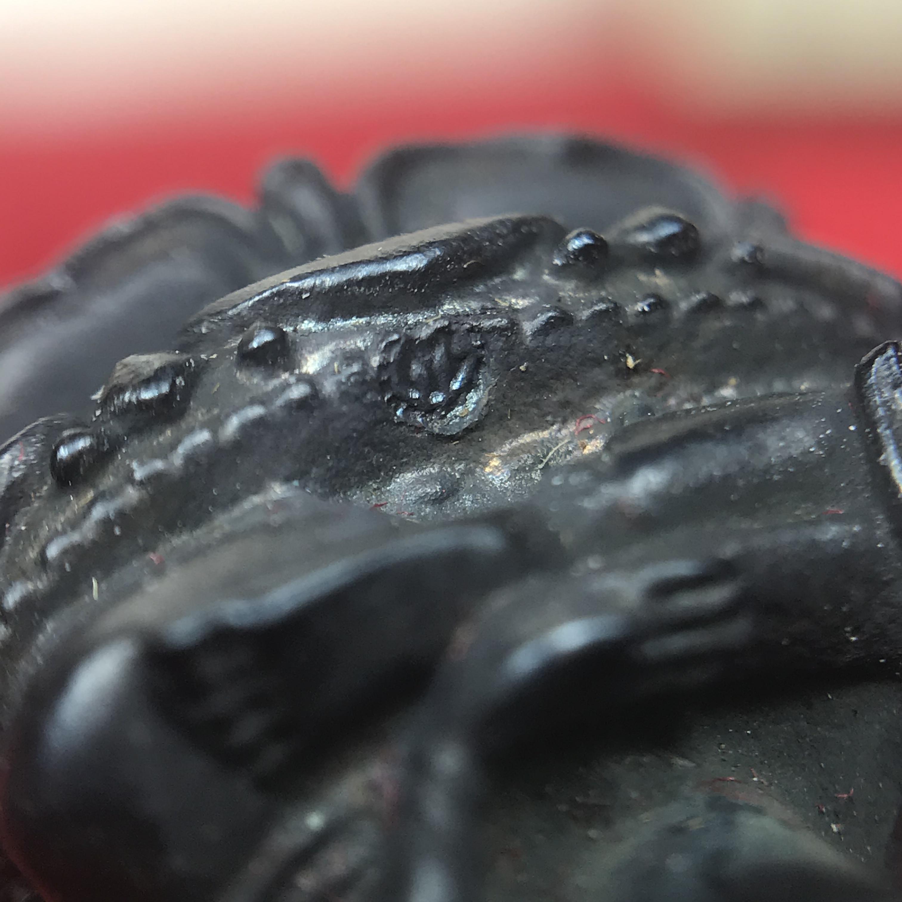 ชุดพระกริ่งไพรีพินาศ(รุ่นแรก สมเด็จพระญาณสังวร) เนื่องในพระบรมราชวโรกาสพระบาทสมเด็จพระเจ้าอยู่หัวรัชกาลที่9 เสด็จพระราชดำเนิน ในงานตัดลูกนิมิตสีมาอุโบสถ วัดเพชรวราราม จ.เพชรบูรณ์ ปี ๒๕๒๐ รุ่นเขาค้อ (ชุดกรรมการ ได้รับพระราชทาน พบเจอและหายากมากในปัจจุบัน)