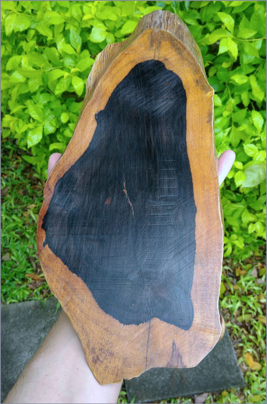 ฐานไม้มะเกลือ(African Ebony) ทรงรี หลายขนาด มีลิ้งค์แยก