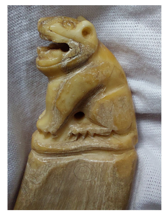 เขี้ยวหมูป่าแกะเสือ--T2580-B