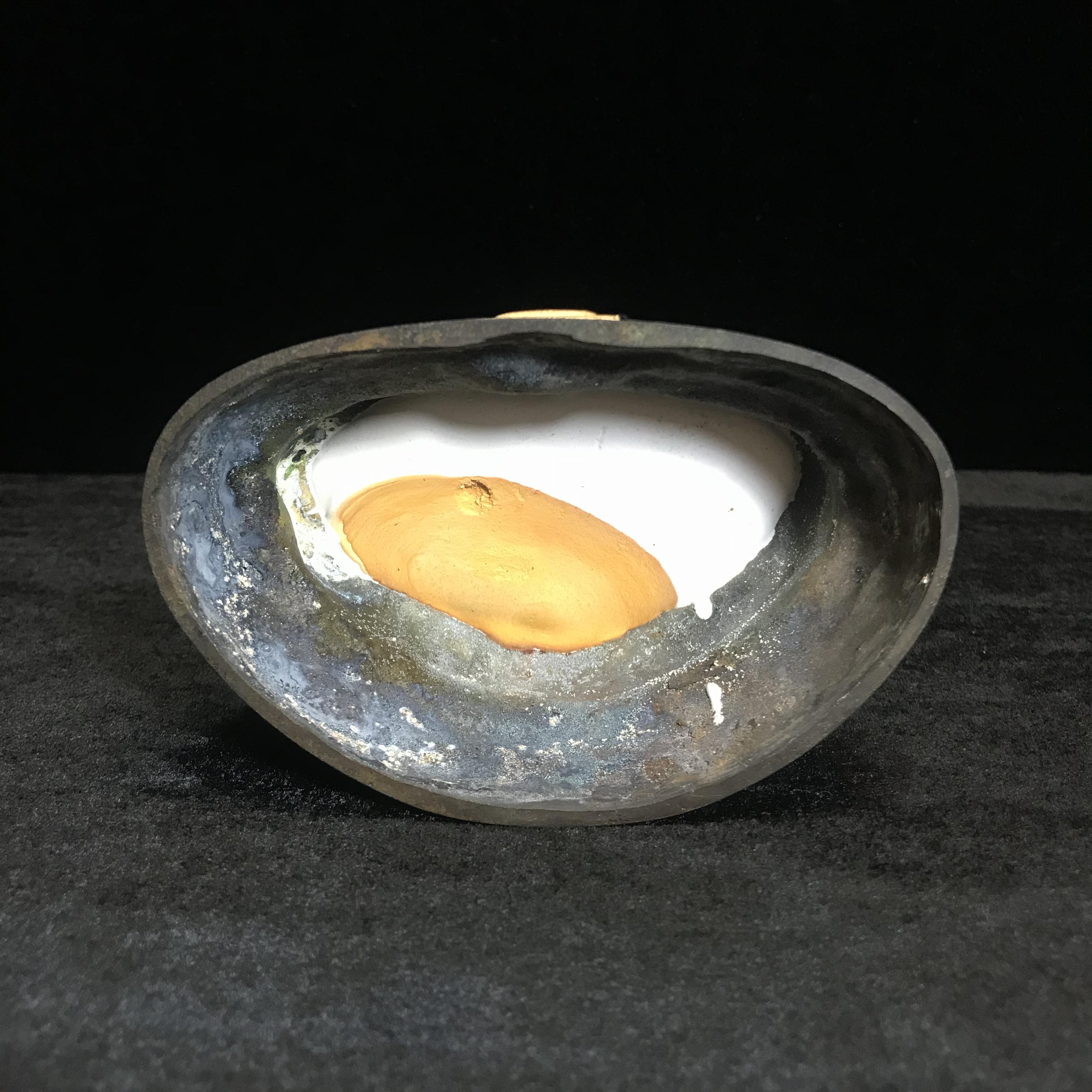 พระวุฒิจิตรลดามหามงคล ปี2542 หน้าตัก 3.5นิ้ว(อีก1ของดีที่หายาก)