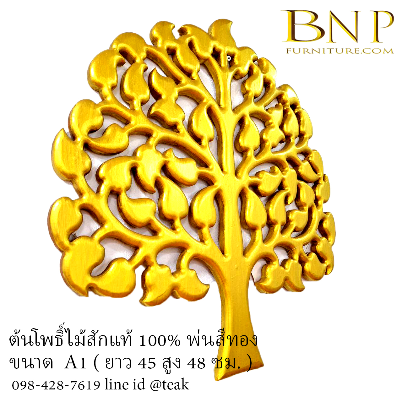 ต้นโพธิ์ทอง ขนาด เล็ก A1
