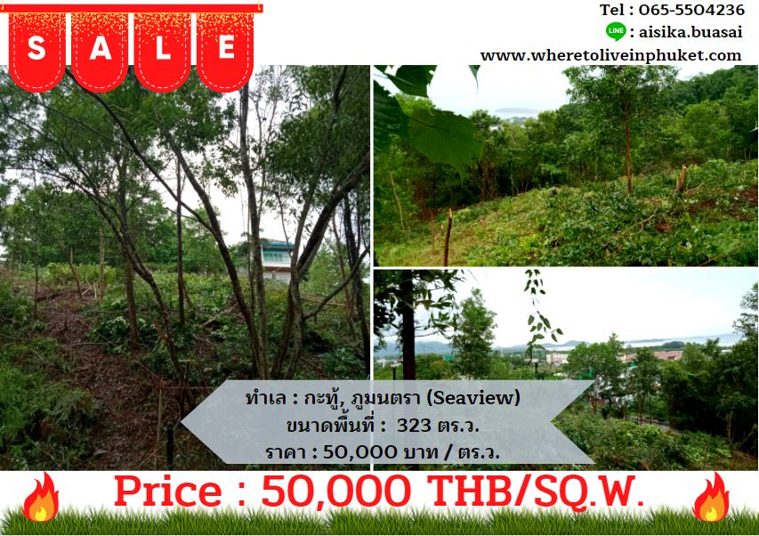 For Sales : Land Kathu, Near Phumontra , 323 Sq.w.