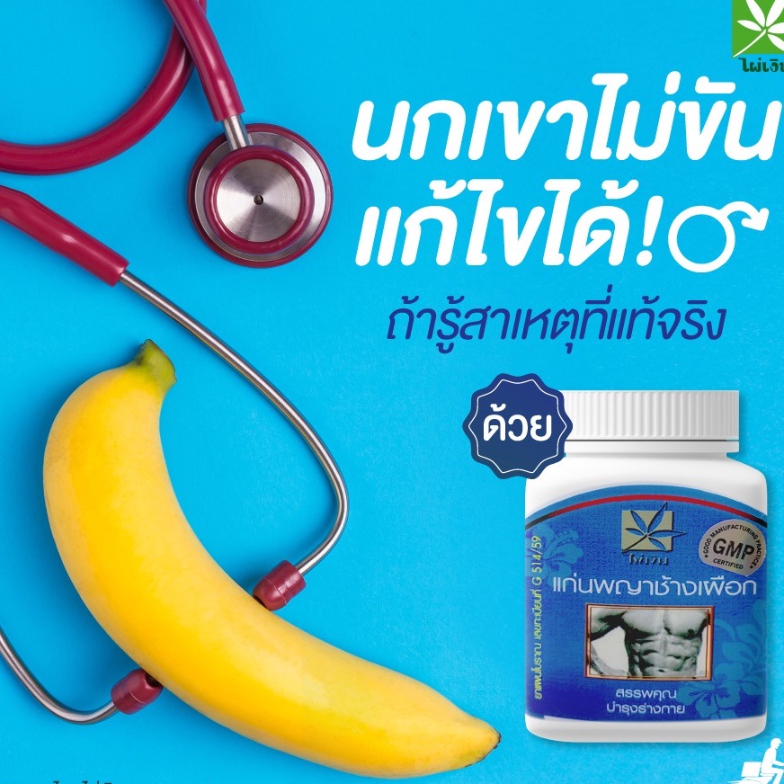 แก่นพญาช้างเผือก 100 แคปซูล ตราไผ่เงิน ผ่านการรับรองจาก GMP