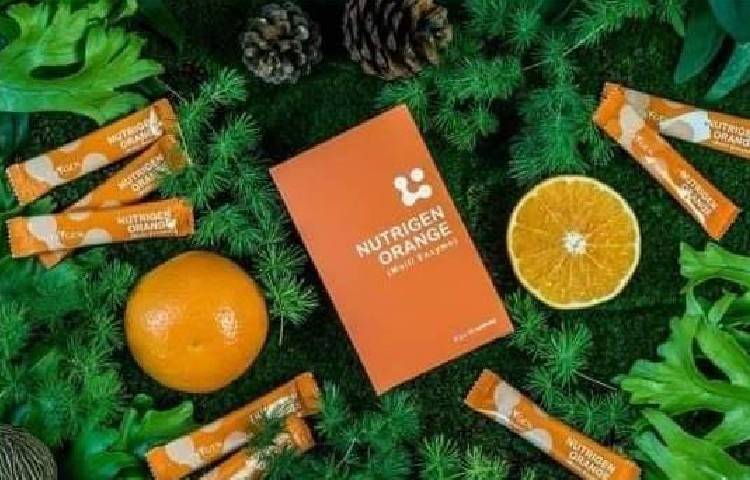NutrigenEnzyme