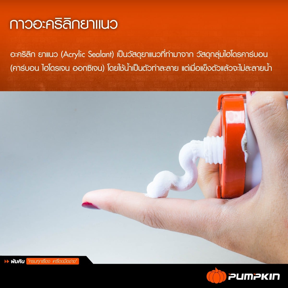 20015 Pumpkin พัมคิน อะคริลิคยาแนว FIXTECH ยืดหยุ่น ยึดเกาะดี ทาสีทับได้ กาวอะคริลิคยาแนว สีขาว 450g. อะคริลิค แด๊ป แด็ป แดป แด๊ฟ แด๊บ