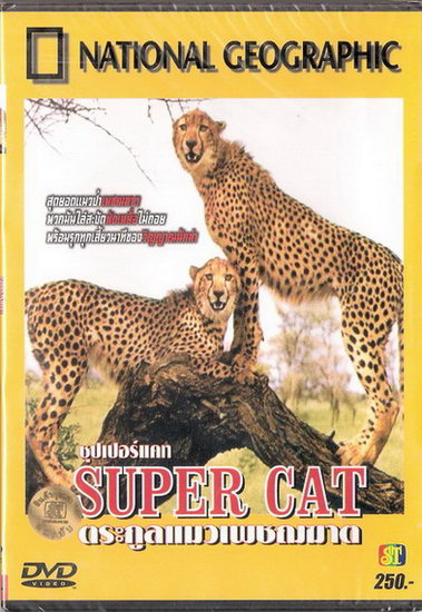 Super Cat ตระกูลแมวเพชรฆาต สารคดีระดับโลกจาก National Geographic - DVD